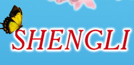 shengli-logo